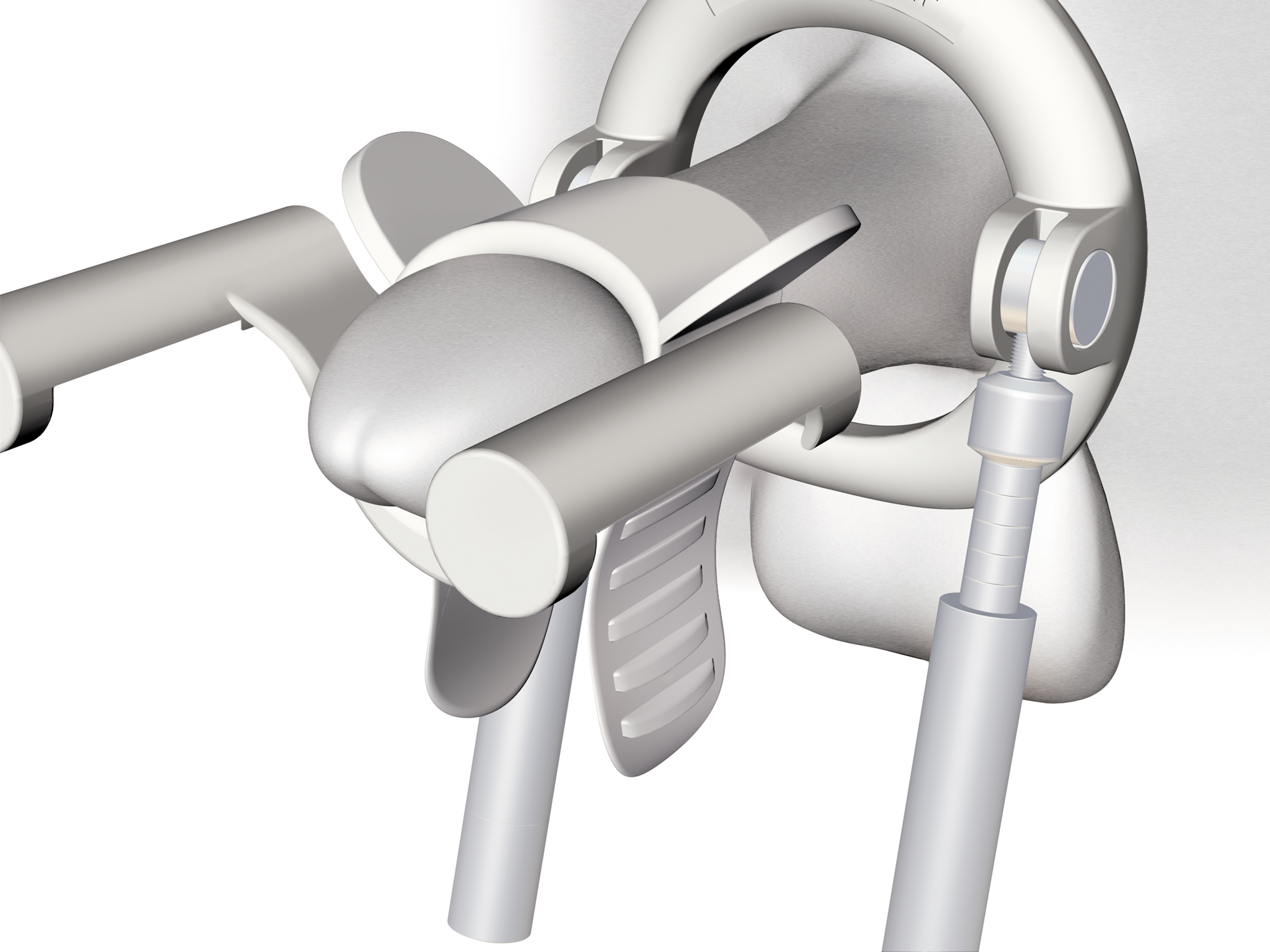 Illustration of the penis fixed with the holding belt in the holding support with the base ring put on