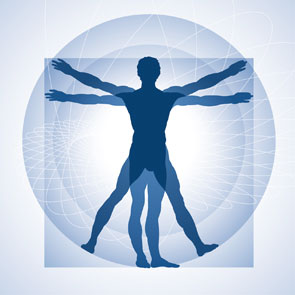 The Vitruvian Man by Leonardo da Vinci in graphic representation
